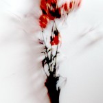 Foto: Koßma