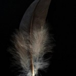 Copyright by Koßma